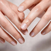 بالم لب و همه کاره ی سه عددی تندرکر اوریفلیم