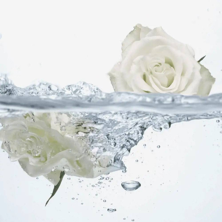 🩵 ژل شستشوی بهداشتی بانوان فمینله طراوتبخش با رایحه گل رز اوریفلیم ۳۰۰میل